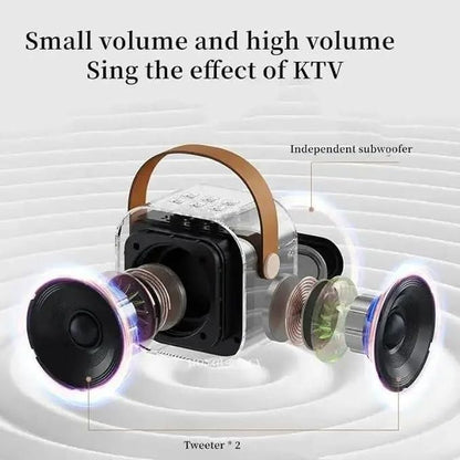 Portable Karaoke Speaker with Wireless Mic