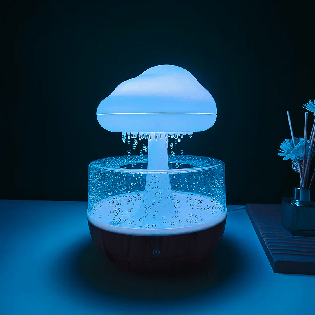 Rainy Cloud Humidifier – 22.11.2020